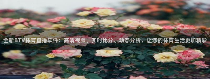 全新BTV体育直播软件：高清视频、实时比分、动态分析，让您的体育生活更加精彩