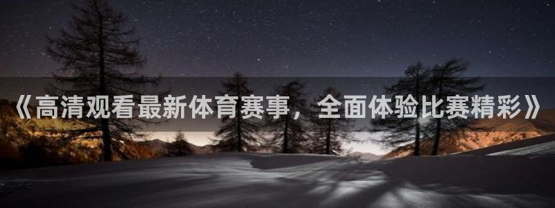《高清观看最新体育赛事，全面体验比赛精彩》