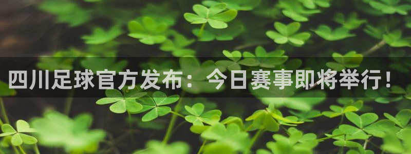 四川足球官方发布：今日赛事即将举行！