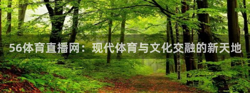 56体育直播网：现代体育与文化交融的新天地