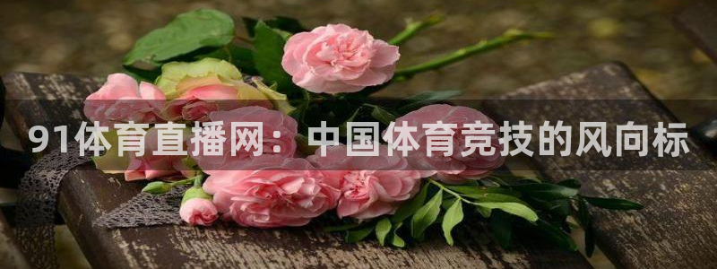 91体育直播网：中国体育竞技的风向标