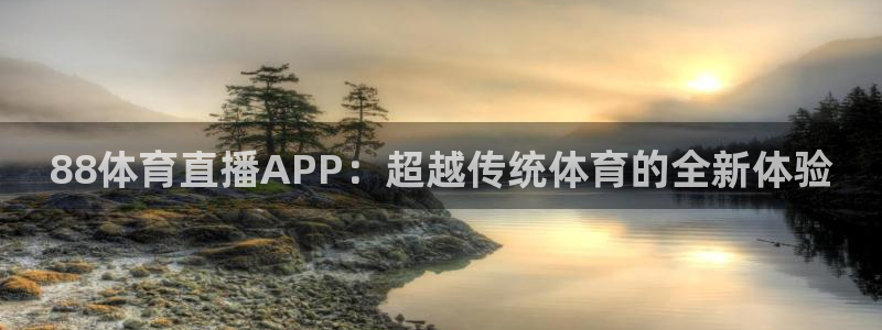 88体育直播APP：超越传统体育的全新体验