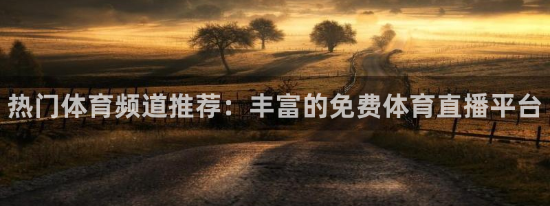 热门体育频道推荐：丰富的免费体育直播平台