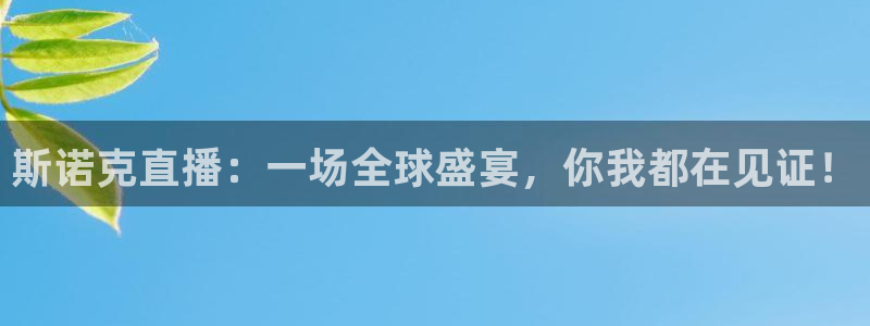 斯诺克直播：一场全球盛宴，你我都在见证！