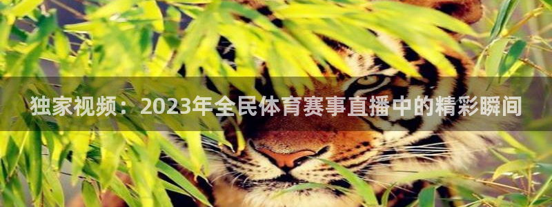 独家视频：2023年全民体育赛事直播中的精彩瞬间