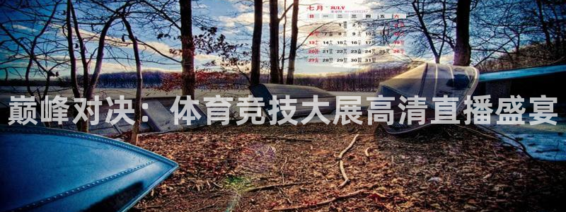 巅峰对决：体育竞技大展高清直播盛宴