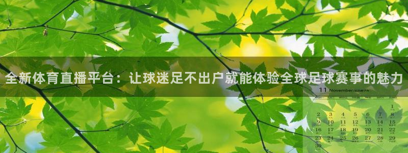 全新体育直播平台：让球迷足不出户就能体验全球足球赛事的魅力