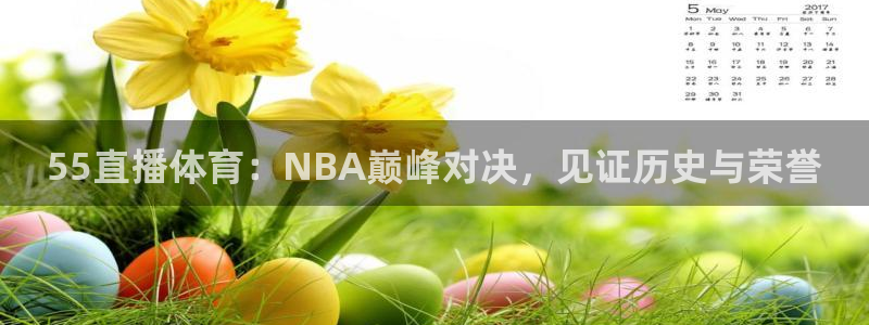55直播体育：NBA巅峰对决，见证历史与荣誉
