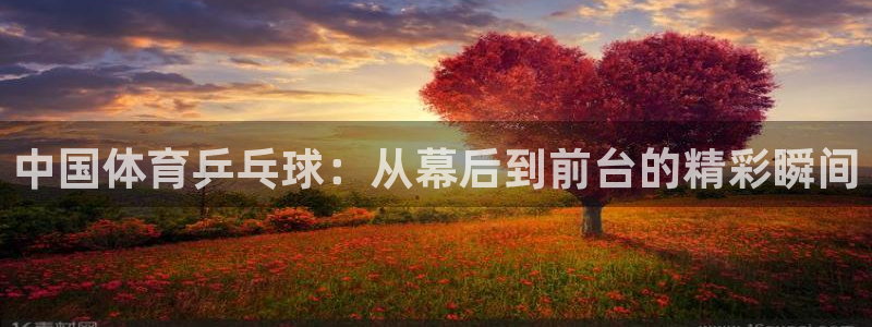 中国体育乒乓球：从幕后到前台的精彩瞬间