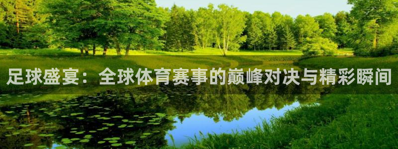 足球盛宴：全球体育赛事的巅峰对决与精彩瞬间