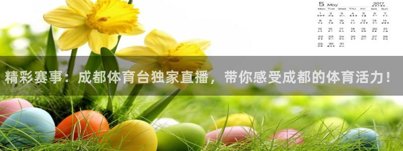 精彩赛事：成都体育台独家直播，带你感受成都的体育活力！