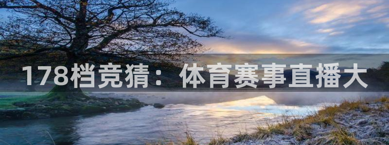 178档竞猜：体育赛事直播大