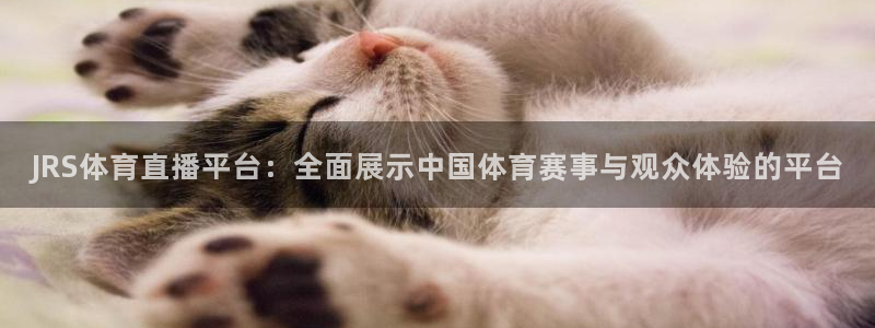 JRS体育直播平台：全面展示中国体育赛事与观众体验的平台