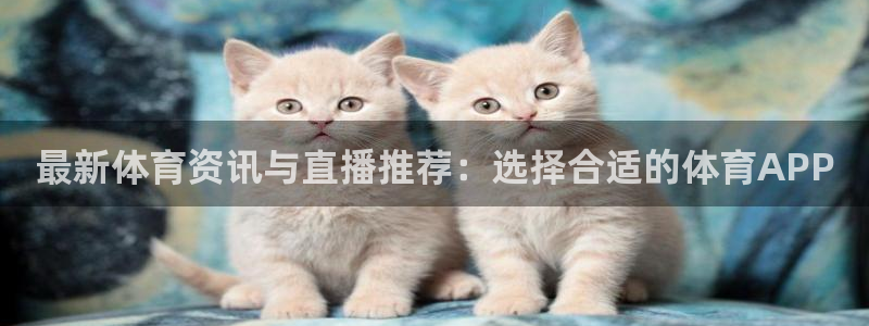 最新体育资讯与直播推荐：选择合适的体育APP