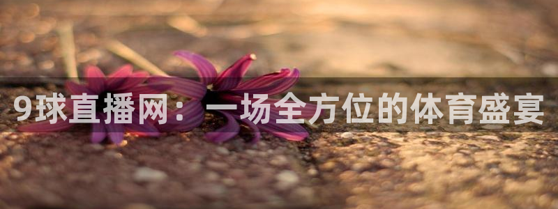 9球直播网：一场全方位的体育盛宴