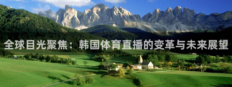 全球目光聚焦：韩国体育直播的变革与未来展望