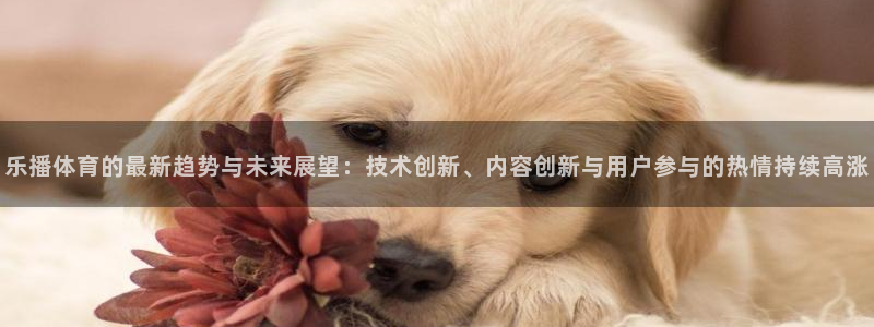乐播体育的最新趋势与未来展望：技术创新、内容创新与用户参与的热情持续高涨