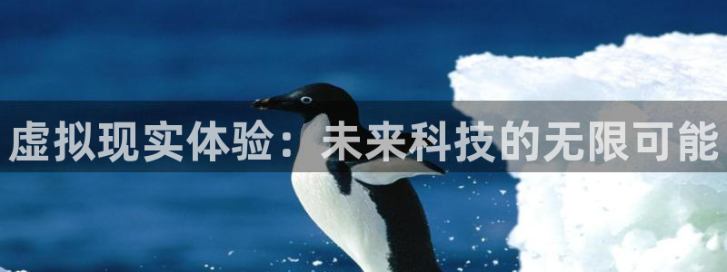 虚拟现实体验：未来科技的无限可能