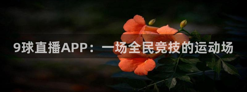9球直播APP：一场全民竞技的运动场