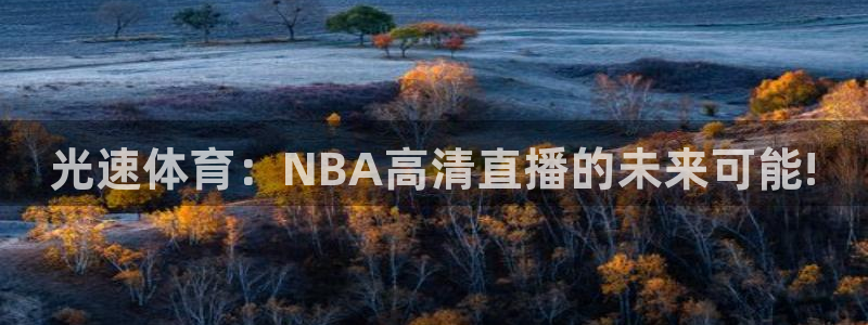 光速体育：NBA高清直播的未来可能!