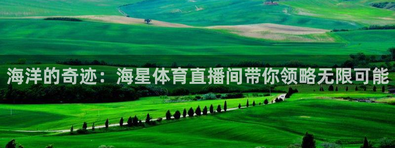 海洋的奇迹：海星体育直播间带你领略无限可能