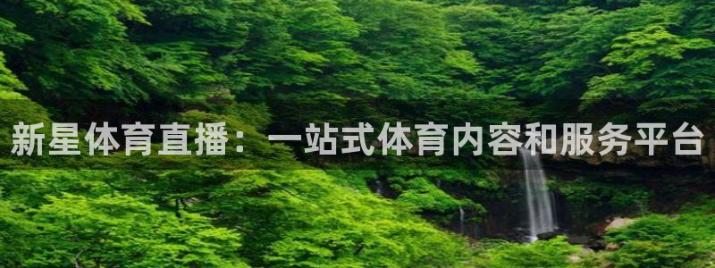 新星体育直播：一站式体育内容和服务平台