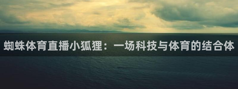 蜘蛛体育直播小狐狸：一场科技与体育的结合体