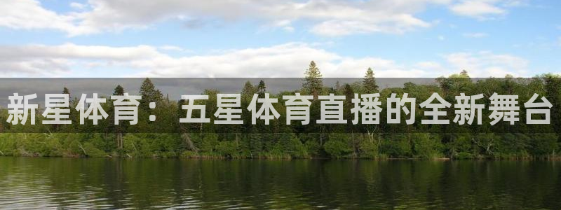 新星体育：五星体育直播的全新舞台
