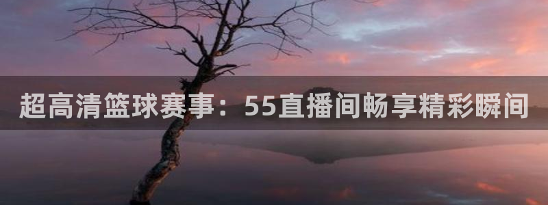 超高清篮球赛事：55直播间畅享精彩瞬间