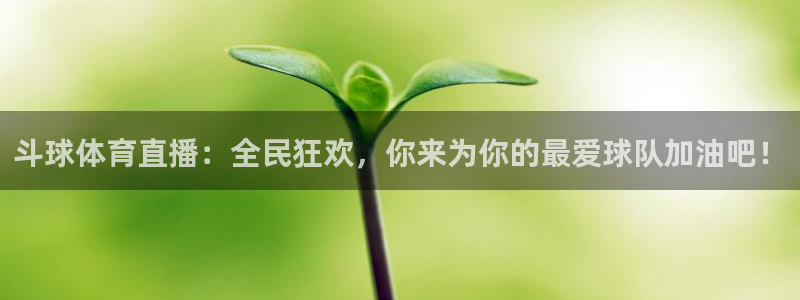 斗球体育直播：全民狂欢，你来为你的最爱球队加油吧！