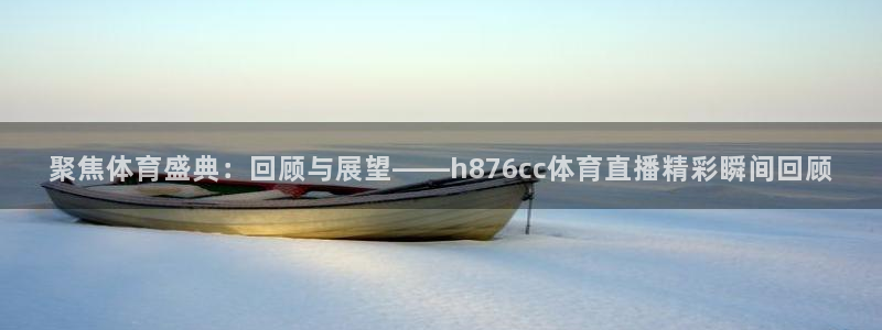 聚焦体育盛典：回顾与展望——h876cc体育直播精彩瞬间回顾