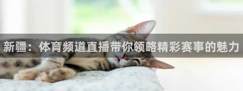 新疆：体育频道直播带你领略精彩赛事的魅力