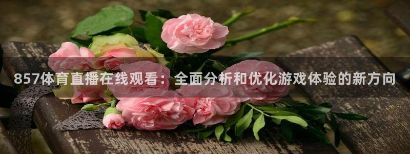 857体育直播在线观看：全面分析和优化游戏体验的新方向