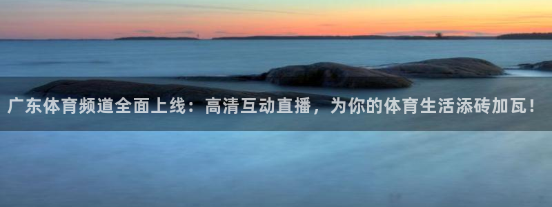 广东体育频道全面上线：高清互动直播，为你的体育生活添砖加瓦！