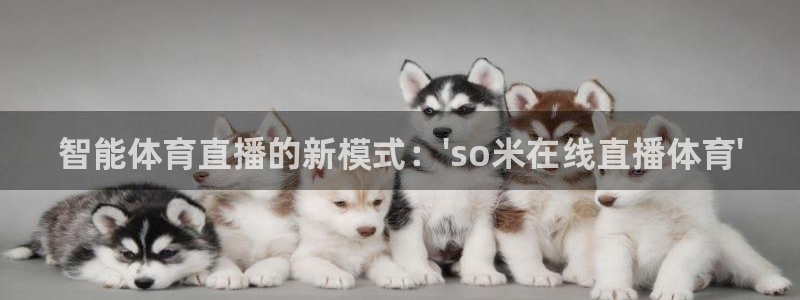 智能体育直播的新模式：\'so米在线直播体育\'