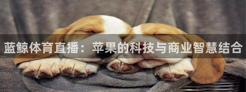 蓝鲸体育直播：苹果的科技与商业智慧结合