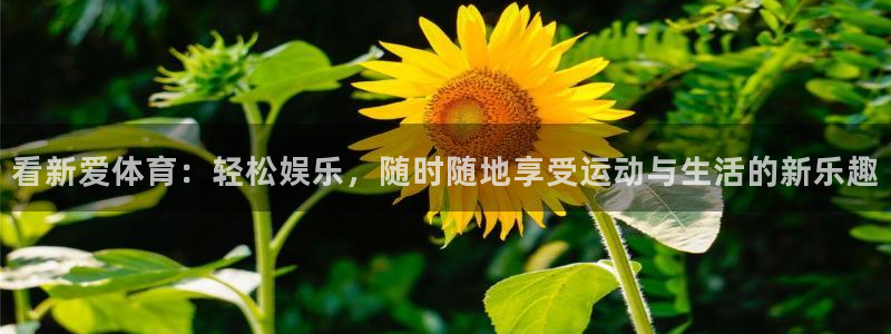 看新爱体育：轻松娱乐，随时随地享受运动与生活的新乐趣