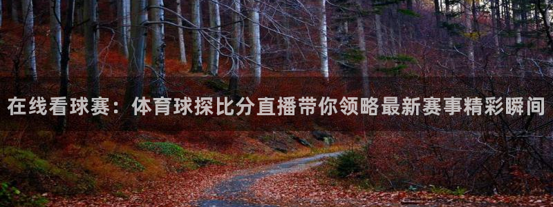 在线看球赛：体育球探比分直播带你领略最新赛事精彩瞬间