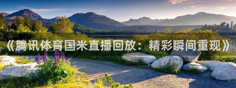 《腾讯体育国米直播回放：精彩瞬间重现》