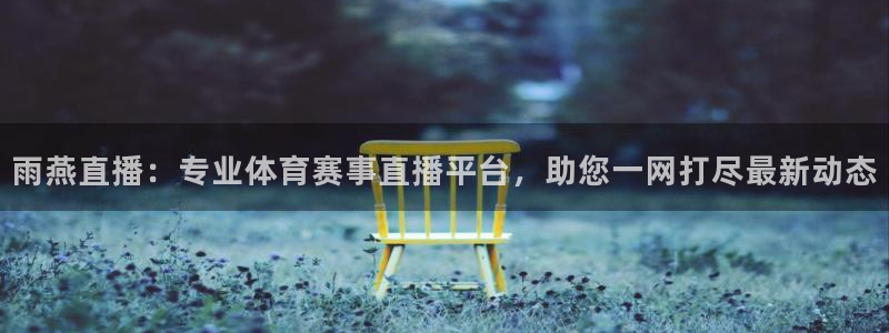 雨燕直播：专业体育赛事直播平台，助您一网打尽最新动态