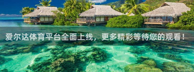 爱尔达体育平台全面上线，更多精彩等待您的观看！