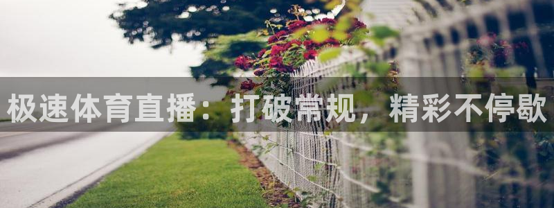 极速体育直播：打破常规，精彩不停歇