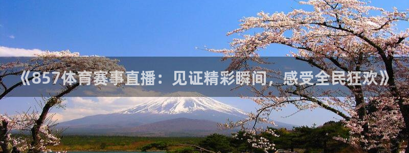 《857体育赛事直播：见证精彩瞬间，感受全民狂欢》