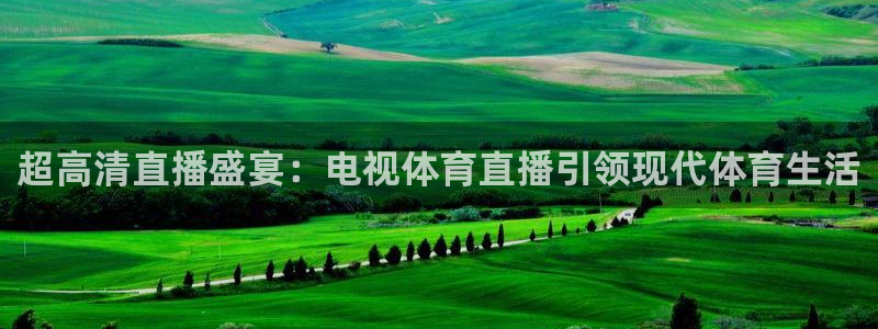 超高清直播盛宴：电视体育直播引领现代体育生活