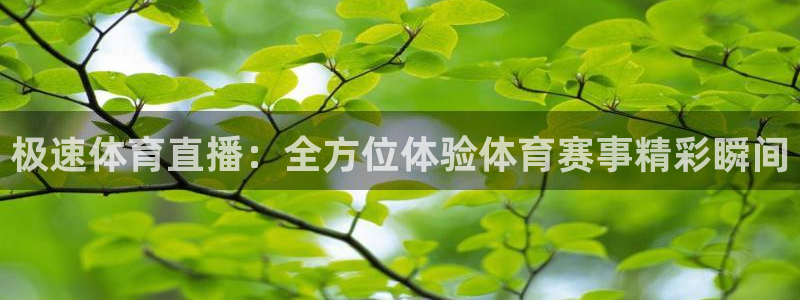 极速体育直播：全方位体验体育赛事精彩瞬间