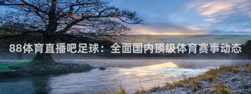 88体育直播吧足球：全面国内顶级体育赛事动态