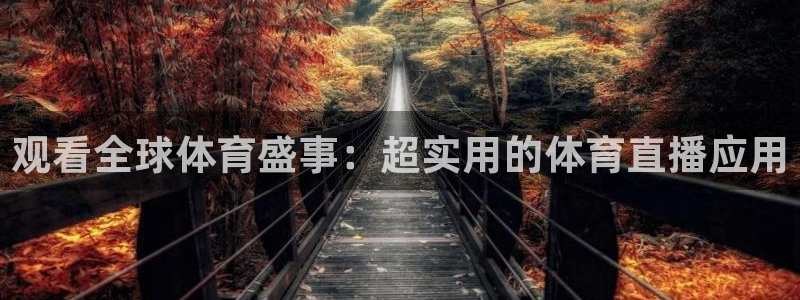 观看全球体育盛事：超实用的体育直播应用