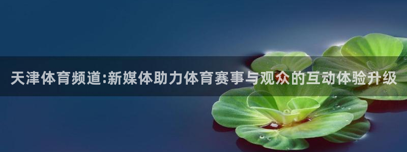 天津体育频道:新媒体助力体育赛事与观众的互动体验升级