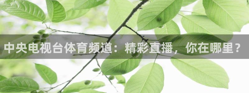 中央电视台体育频道：精彩直播，你在哪里？