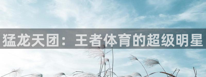 猛龙天团：王者体育的超级明星